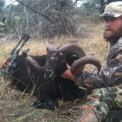 Harvested Exotics 2014-15